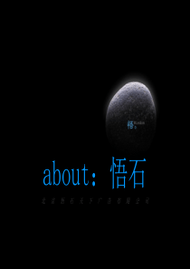 天津瑞景项目推广思路提案-65PPT
