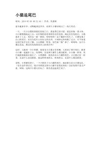 小猫追尾巴