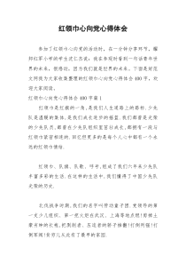 2021年红领巾心向党心得体会
