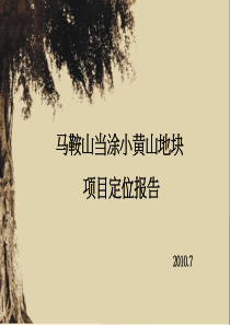安徽马鞍山当涂小黄山地块项目定位报告_174页_XXXX年