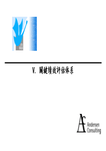 安达信小天鹅咨询项目，第五部分