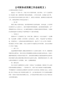 公司财务试用期工作总结范文1