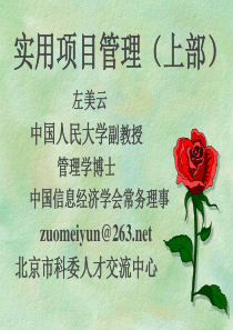实用项目管理(上部)