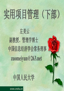 实用项目管理(下部)
