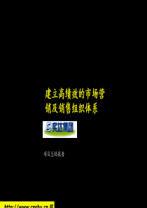 实达项目市场营销及销售组织体系
