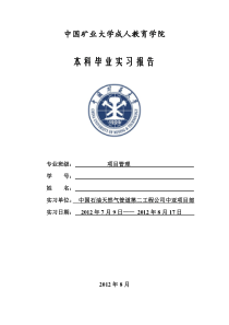 实习报告(项目本范文)