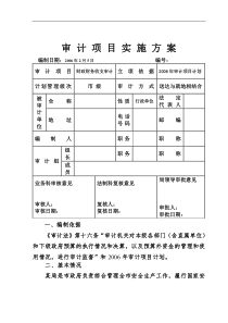 审计项目实施方案(doc 8)