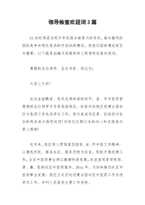 2021年领导检查欢迎词篇