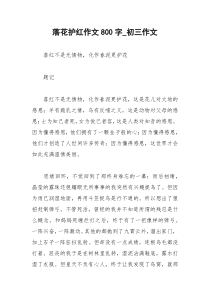 2021年落花护红作文字初三作文