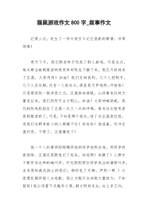 2021年猫鼠游戏作文字叙事作文