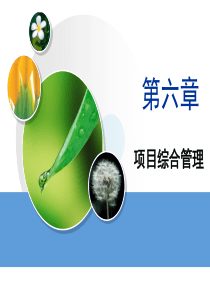 工程项目管理6