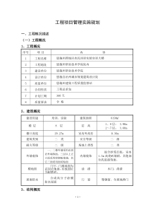工程项目管理实施规划