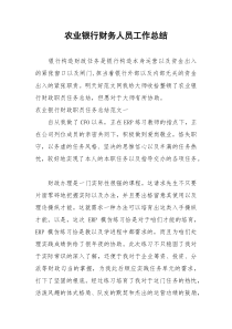 2021年农业银行财务人员工作总结