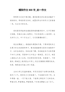 2021年暖阳作文字初一作文