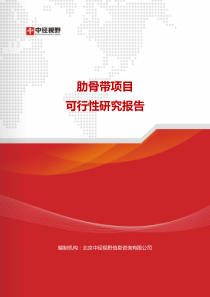 肋骨带项目可行性研究报告(目录)