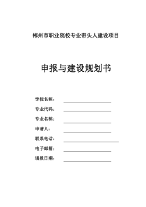 市级专业带头人(XXX)建设项目申报与建设规划书