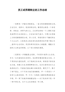 2021年员工试用期转正的工作总结