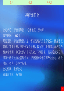 广州碧桂园凤凰城项目