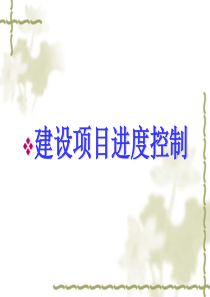 建设项目进度控制[1]dsdd