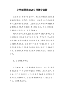 2021年小学辅导员培训心得体会总结