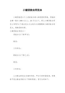 2021年小额贷款合同范本