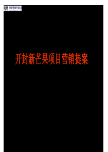 开封新芒果项目营销提案(PPT 53页)