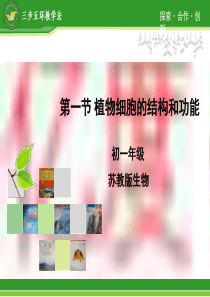3.1植物细胞的结构和功能
