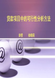 徐晓莉贷款项目中的可行性分析方法