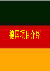德国项目介绍