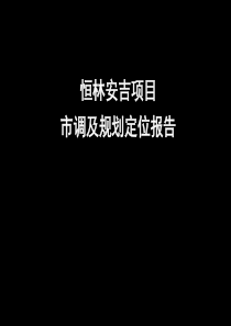 恒林安吉项目市调及规划定位报告