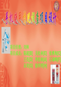 手机使用情况调查项目设计