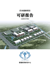 打水泥砖项目可研报告备案用(评审版)
