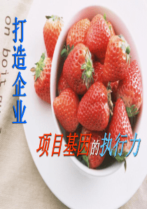 打造企业项目基因的执行力（全）