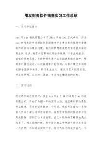 2021年用友财务软件销售实习工作总结