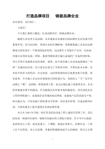 打造品牌项目