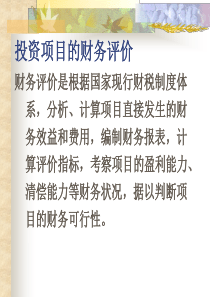 投资项目的财务评价(1)
