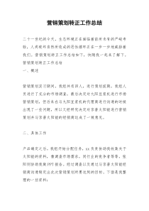 2021年营销策划转正工作总结