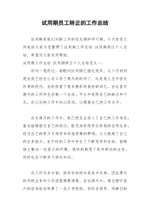 2021年试用期员工转正的工作总结