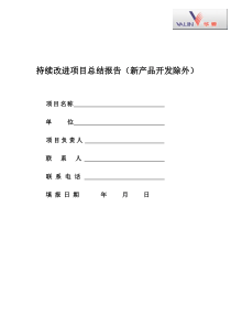 持续改进项目总结报告
