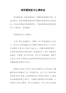 2021年项目策划实习心得体会