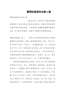 暑期实践报告合集6篇