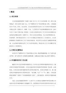 文安县鼎盛彩涂带钢项目报告书
