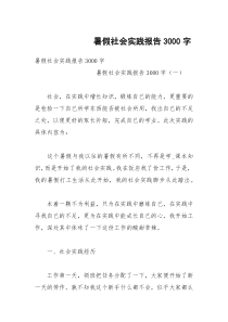 暑假社会实践报告3000字