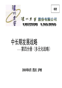 新华信的泸州老窖项目报告四