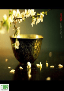 多款PPT背景素材