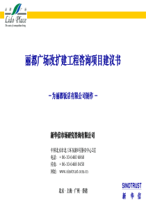 新华信－《×××机场改建咨询项目建议书》