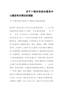 关于×镇农牧综合服务中心建设有关情况的调查