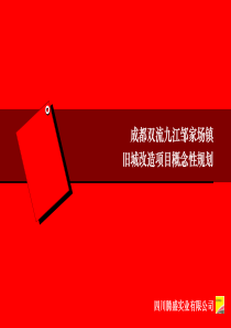 旧城改造项目概念性规划（PDF49页）