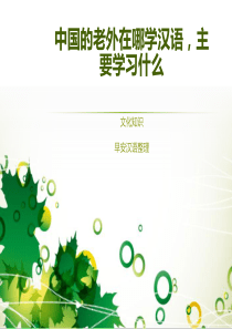 中国的老外在哪学汉语-主要学习什么