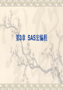 第3章--SAS宏编程